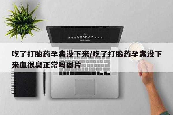 卖打胎药流产药微信吃了打胎药孕囊没下来/吃了打胎药孕囊没下来血很臭正常吗图片